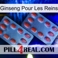 Ginseng For Kidney 05